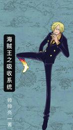 One Piece Absorption System